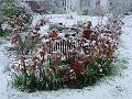 2008-0406_0820_Garden_Snow_0,3_C